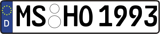 MS-HO1993