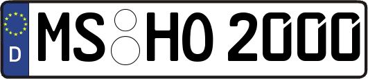MS-HO2000