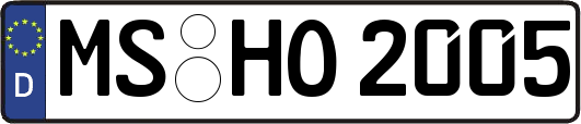 MS-HO2005
