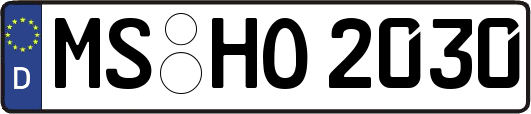 MS-HO2030