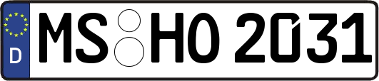 MS-HO2031