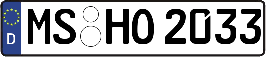 MS-HO2033