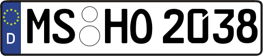 MS-HO2038
