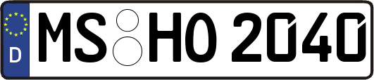 MS-HO2040