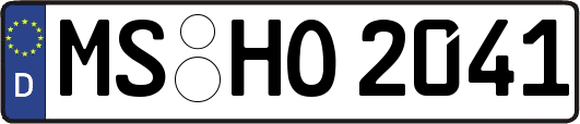 MS-HO2041