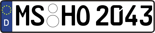 MS-HO2043