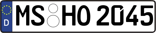MS-HO2045