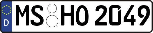 MS-HO2049