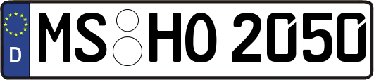 MS-HO2050