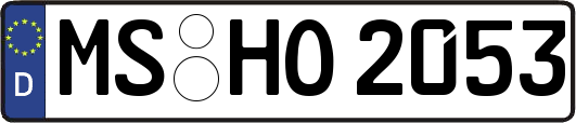 MS-HO2053