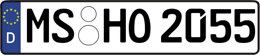 MS-HO2055