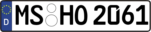 MS-HO2061
