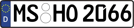 MS-HO2066