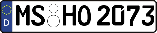 MS-HO2073