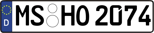 MS-HO2074