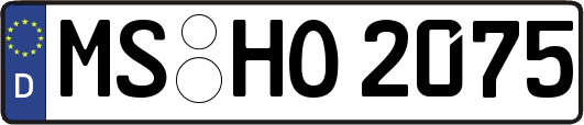 MS-HO2075