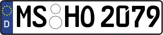 MS-HO2079