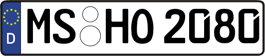 MS-HO2080