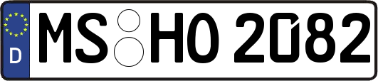 MS-HO2082
