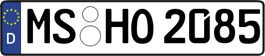 MS-HO2085