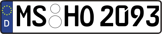 MS-HO2093