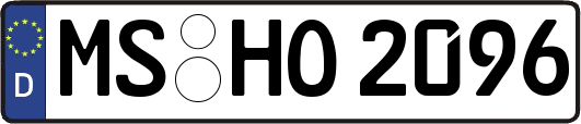 MS-HO2096