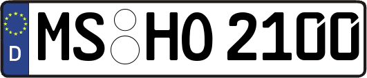 MS-HO2100