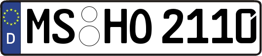 MS-HO2110