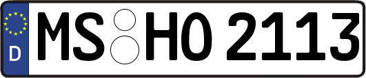 MS-HO2113