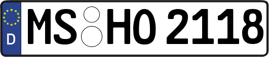 MS-HO2118