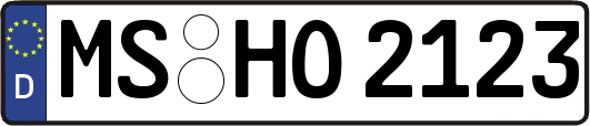 MS-HO2123