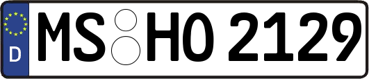 MS-HO2129