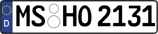 MS-HO2131