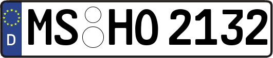 MS-HO2132