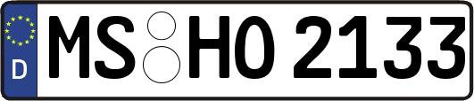 MS-HO2133