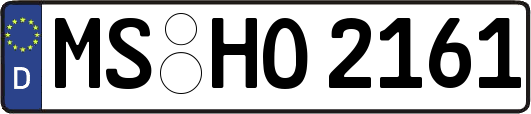 MS-HO2161