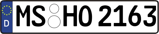 MS-HO2163