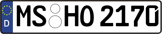 MS-HO2170