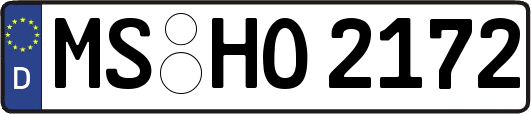 MS-HO2172