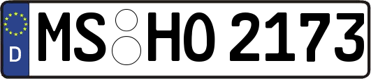 MS-HO2173