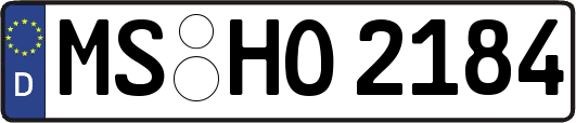 MS-HO2184
