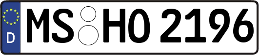 MS-HO2196