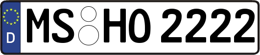 MS-HO2222