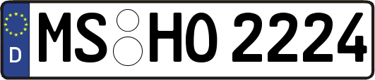 MS-HO2224