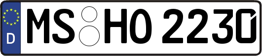 MS-HO2230