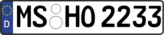 MS-HO2233