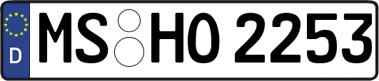 MS-HO2253