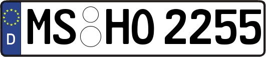 MS-HO2255