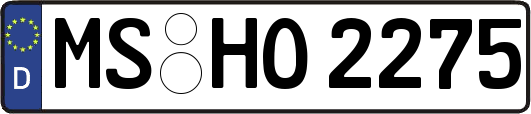 MS-HO2275