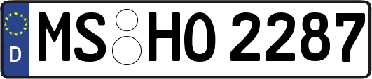 MS-HO2287